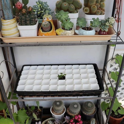 BangQiao 200 Pack 1.95 Inch Tiny White Plastic Square Nursery and Seedling Pot, Mini Transplant Seed Starter Planter with Drain Hole for Germination, Herb, Succulent