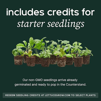 Counterstand Set – Vase Plant for Indoor Edible Garden Kit for Herbs & Lettuce – Small-Space Hydroponic System – Home Decor & Gifting – with Glow Lamp