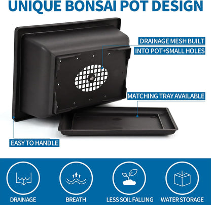 Bonsai Starter Kit, 5 Seeds Growing into Acacia, Wisteria, Sakura, Red Maple and Black Pine, Including Complete Gardening Tools with A Gift Box, Christmas Gifts for Men Women Beginners