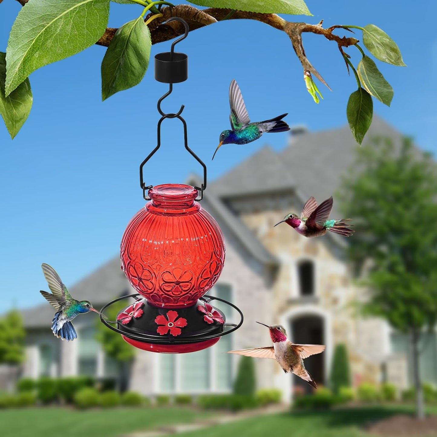 Glass Hummingbird Feeders for Outdoors Hanging, 23Oz Humming Bird Nectar Feeders with Perch, 5 Flower Feeding Ports, Leak Proof Base and Hook for Garden Decor, Gifts for Mom Women (Red)