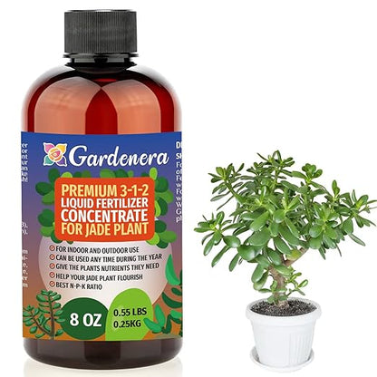 Gardenera Premium Liquid Jade Fertilizer - 3-1-2 Concentrate for Indoor Plants and Flowers - Organic Plant Food - 8oz