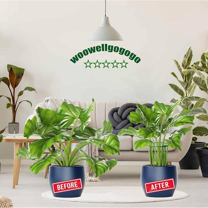 10-Pack Adjustable Height Snake Plant Support Stakes- Sturdy, Rust-Resistant Plant Supports for Indoor and Outdoor Potted Plants (16x10Inch) - Flower and Garden Peony Support