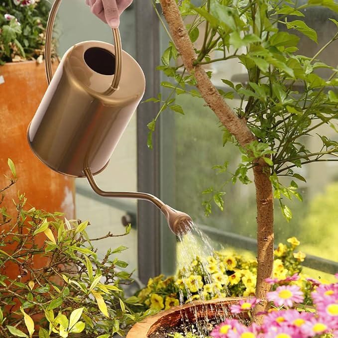 1/2 Gallon 68oz Long Spout Stainless Steel Gold Colored Watering Can for Indoor Plant Watering or Outdoor Gardening with 2 Removable Spray Spout for Flowers, Medium