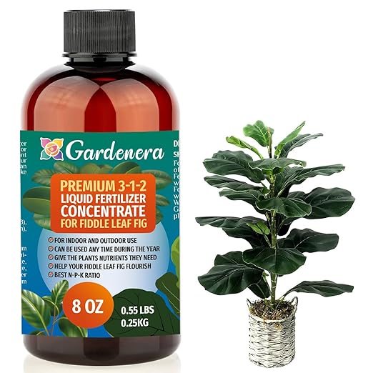 Premium Liquid Fiddle Leaf FIG Plant Fertilizer - 3-1-2 Concentrate for Indoor Plants and Flowers by Gardenera | Organic Plant Food for Fiddle Leaf Fig - 8oz
