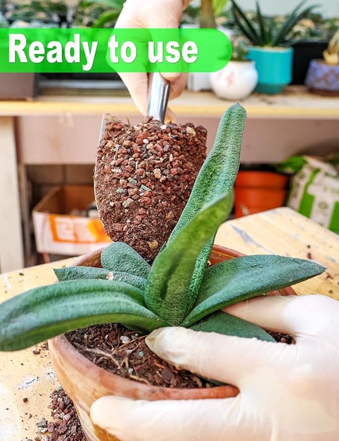 TOYPOPOR Succulent Soil, Cactus Potting Mix 2 Pounds/1 Quart, High Drainage, Pre-Mixed Ready to Use for All Succulent Varieties, Indoor Plants, Bonsai, Terrarium, Houseplant, 70% Particles 30% Soil