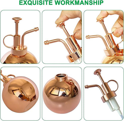 Stainless Steel Plant Sprayer, Small Watering Can Plant Misting Bottle, Modern Gardening Tools for Indoor Potted Plants Watering and Misting