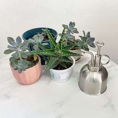 Stainless Steel Plant Sprayer, Small Watering Can for Indoor Potted Plants