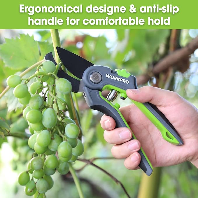 WORKPRO Anvil Pruning Shears, 8’’ Professional Gardening Hand Pruner with SK5 Steel Sharp Blades, Ideal Gardening Tool for Cutting and Trimming, Green