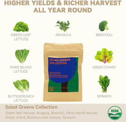 inbloom Salad Green Seed Pod Kit for Hydroponics Growing System, 12 Pods (350+ Seeds with American Fast/Paris Island/Buttercrunch Lettuce, Swiss Chard, Spinach, Cauliflower, and Wild Cabbage)