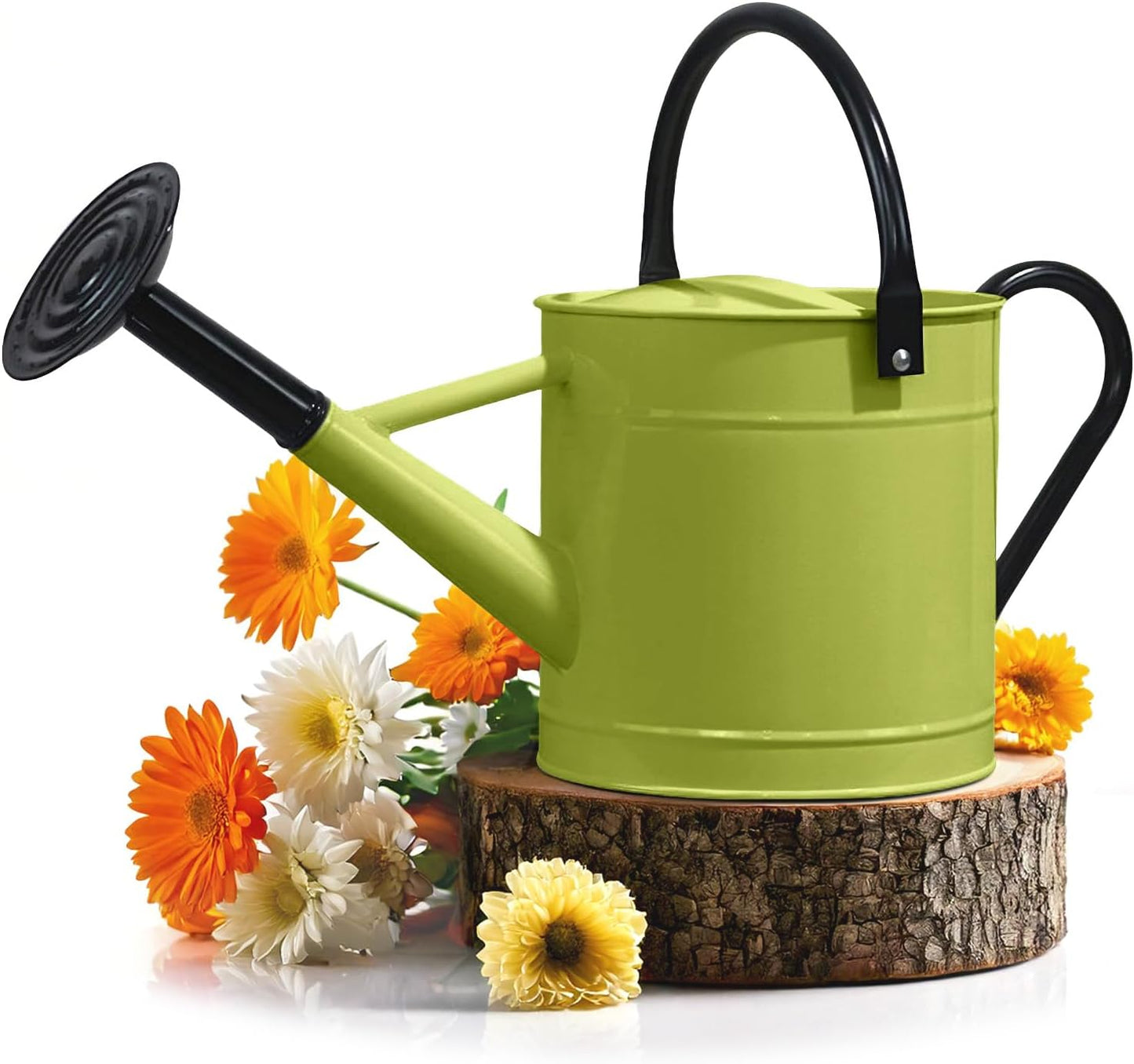 Plexon 1 Gallon Metal Watering Can Outdoor, Flower Plant Gardening Garden Large Watering Can Pot, Black Galvanized Steel Handles and Removable Spray Spout, Green