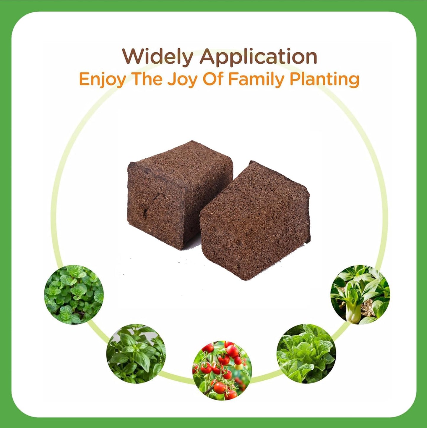 50 Packs Cuttage Grow Sponges, Pods Root Growth Sponge Eco Friendly PH Balance, Square Sponge Replacement Part Seedling Starter Sponges for Hydroponic Indoor Garden System Cuttage Rooting