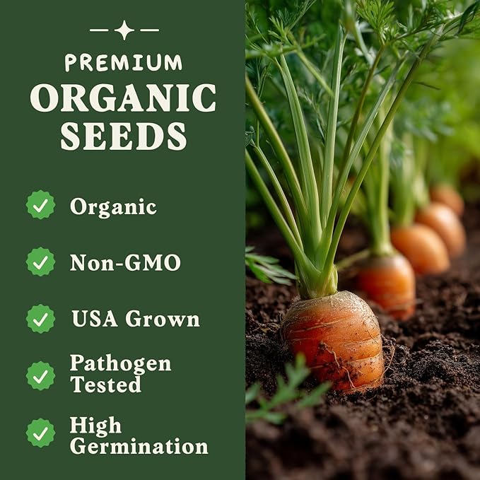 Seedboy Organic Carrot Seeds for Planting Indoor and Outdoor, Non-GMO and USDA Certified Vegetable Seed Packet for Hydroponic Garden Indoor or Planting Outdoors (Scarlet Nantes Carrots)