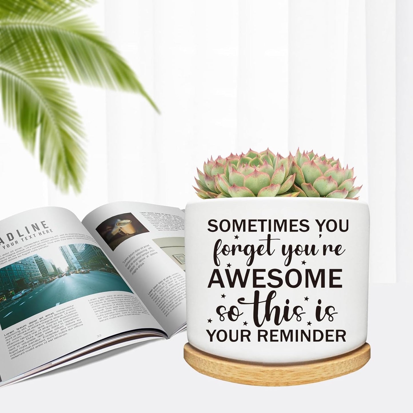 Succulent Cactus Cute Planter Pots with Bamboo Tray, Office Kitchen Home Windowsill Indoor Decor, Gift for Friends Mom Women Coworkers Teachers Plant Lovers