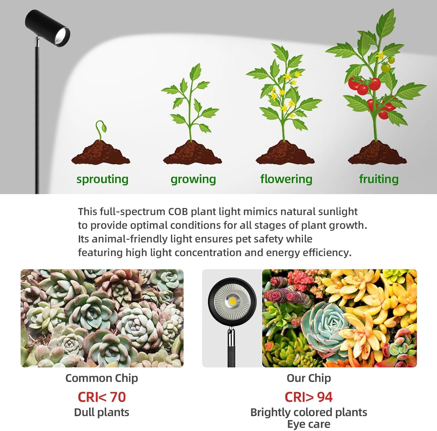 60W Dimmable Grow Light, Full Spectrum COB LED Dual-Head Floor Lamp with High CRI, 6/8/12H Timer, Adjustable Height (37"-77") & Angle – Standing Grow Lights for Indoor Plants (Daylight 6000K)