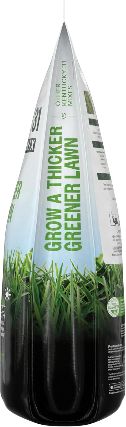Scotts Kentucky 31 Grass Seed Mix for New Lawns or Overseeding, Grows Thicker and Greener vs. Other Kentucky 31 Mixes, Covers up to 5,000 sq. ft.