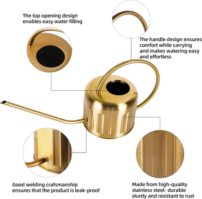 34oz/1L Stainless Steel Watering Can, Rust-Proof Indoor/Outdoor Watering Can for House Plants, Long Spout Water Can for Succulent Bonsai Garden Flowers (Gold Color)