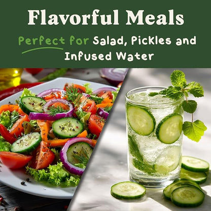 Seedboy Organic Cucumber Seeds for Planting Indoor and Outdoor, Non-GMO and USDA Certified Vegetable Seed Packet for Hydroponic Garden Indoor or Planting Outdoors (Marketmore Cucumber)