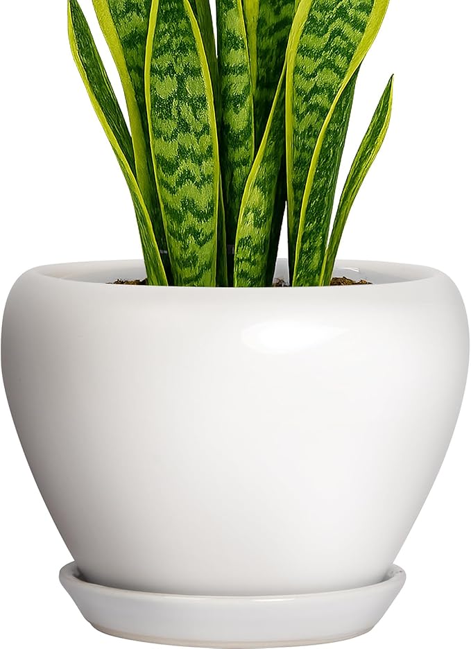 Deep Dream 8 Inch Plant Pot - Ceramic Planter with Drainage Hole and Trays, Modern Round Flower Pot, Planters for Indoor Outdoor Plants, Home Garden Decor, White
