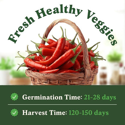 Seedboy Ghost Pepper Seeds for Planting Indoor and Outdoor, Non-GMO Vegetable Seed Packet for Hydroponic Garden Indoor or Planting Outdoors (Bhut Jolokia Ghost Pepper)