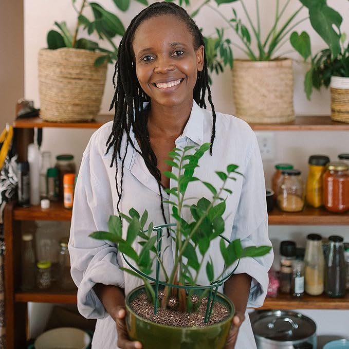 HiGift Plant Support Stakes, 6 Pack Metal Peony Cages and Supports, Garden Stakes Plant Support Cage, Large Plant Support Ring for Outdoor Indoor Snake Plant Peony Rose Flowers Vine (10" W x 15.8" H)