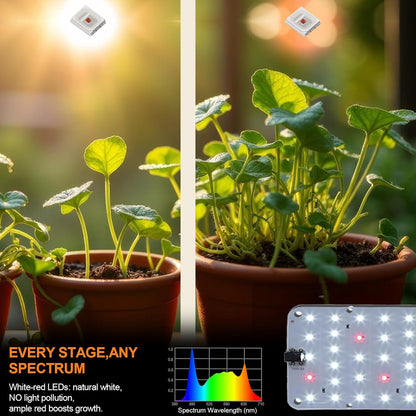 DOMMIA Grow Light, 20W Ultra-Thin Panel Grow Lights for Indoor Plants, High PPFD Full Spectrum, Dimmable, 6/12/16H Timer Auto on/Off, Suitable for Indoor Growing, Daylight White 1-Pack