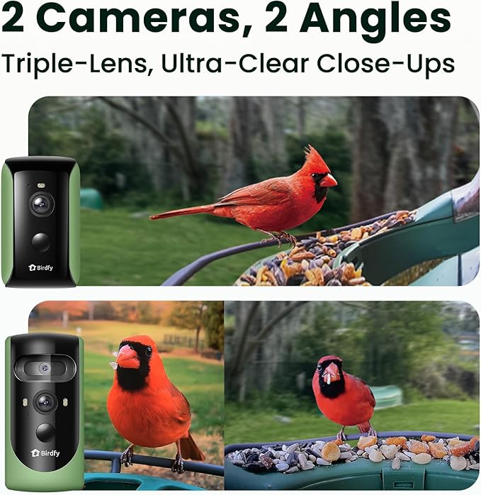 Birdfy 2 Smart Bird Feeder with Camera, AI Identifies Bird Species, 2K Dual-Lens + Side HD Camera for Live Streaming & Feeding View, Solar-Powered Backyard Birdwatching Gift Present