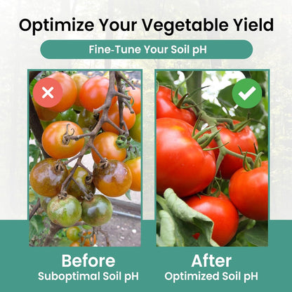 Soil pH Test Kit (3-9 Range) 100 Soil pH Tester Strips, Test Soil of Garden Lawn Grass Vegetable Flower Compost Indoor & Outdoor Plants