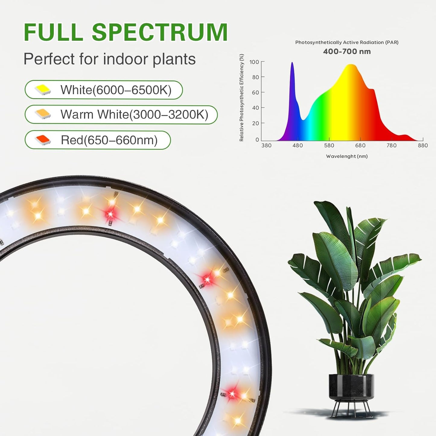 Full Spectrum Grow Light with Stand for Indoor Plants, Floor Plant Light, 3/9/12H Timer, 3 Color Modes, Adjustable Height 16.5–67in, for Large Plants & Home Décor(2 Heads)