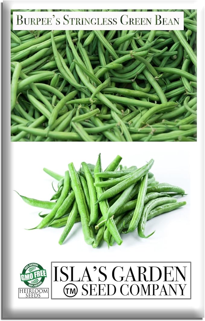 Burpee Stringless Green Bean Seeds (Phaseolus vulgaris) – 50+ Non-GMO Heirloom Seeds by Isla’s Garden Seeds, Crisp Tender Pods with No Strings, Easy to Grow for Raised Beds & Summer Harvests