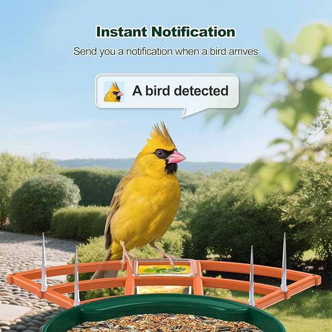 Bird Feeder with Camera,WiFi Smart Bird House with Cam Solar Powered for Outdoor,AI Identify,App Notification,Night Vision,2K Live View,Auto Record Video,Birdwatching Gifts for Family,Birds Lover
