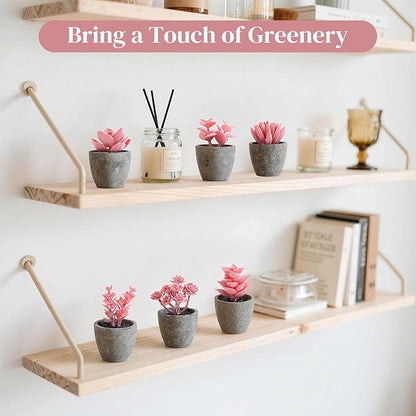 DomeStar 6PCS Small Fake Succulents Plants, Pink Artificial Plants Office Living Room Kitchen Bathroom Decor Desk Decor for Women