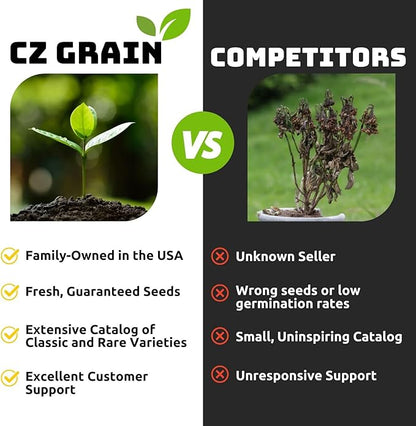 Willow Hybrid Trees for Privacy - Fast Growing Austree Willow Cuttings (25 Cuttings)