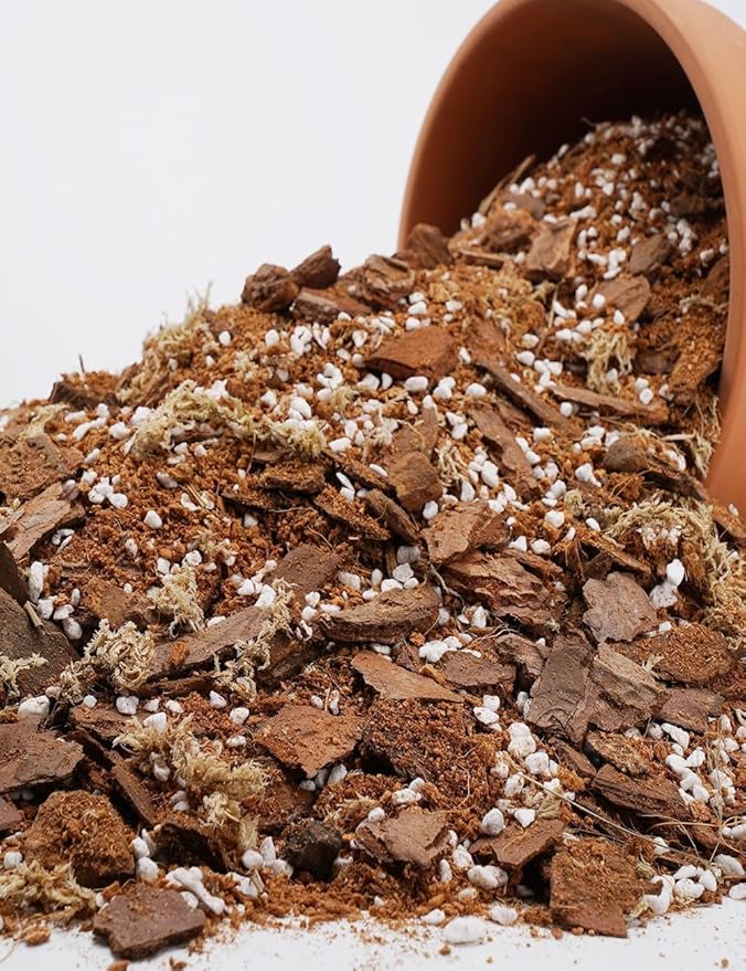 TOYPOPOR Orchid Potting Mix (10qts) for Repotting with Moss Pine Bark Mulch Perlite Stone and Coco Peat Natural Ingredients, Orchid Bark Potting Mix Orchid Repotting Kit Drainage Indoor Potting Medium