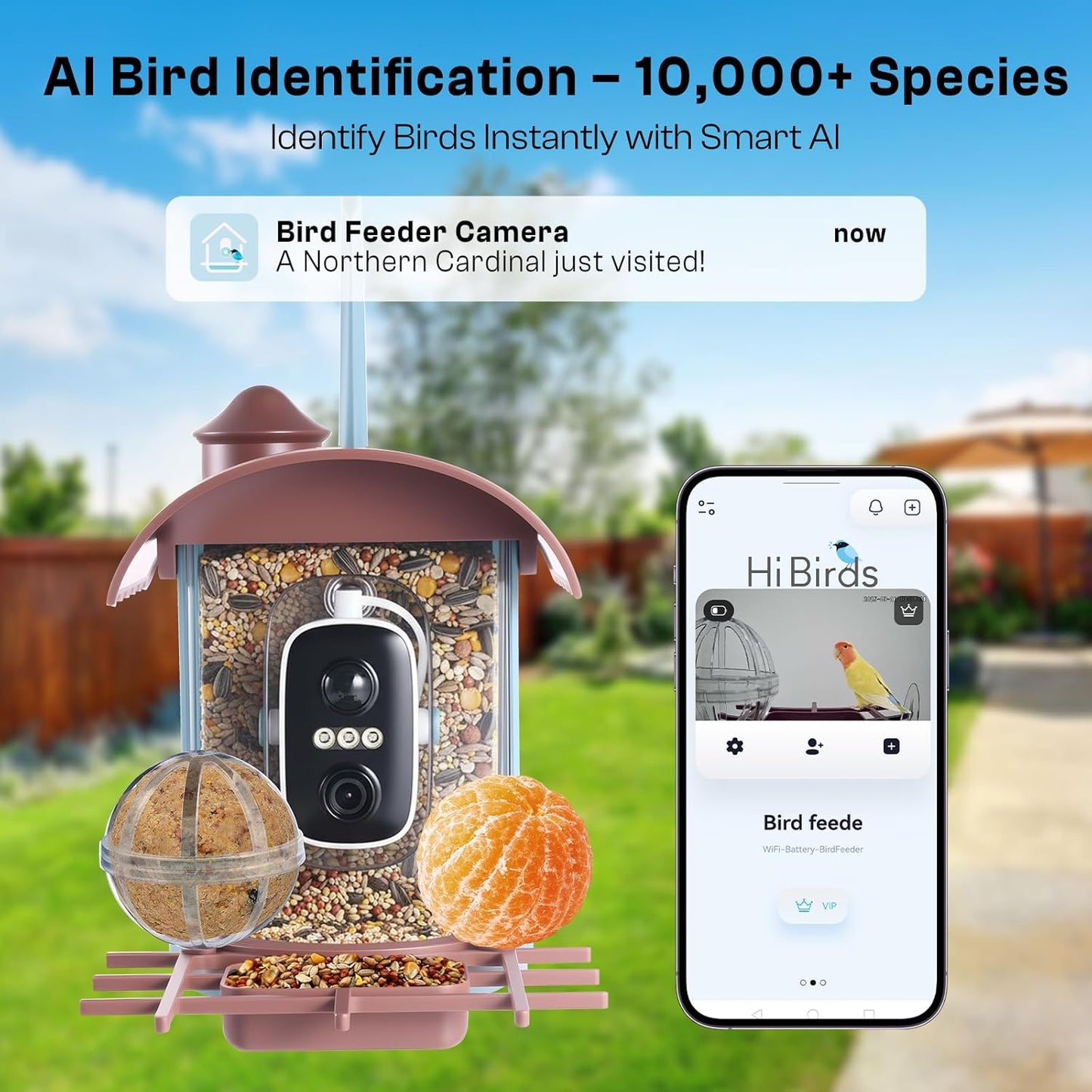 Smart Bird Feeder with Camera – AI Recognition, 130° Wide Angle, Solar & USB Powered, IP65 Waterproof, Motion Detection, Night Vision, Two-Way Audio, Cloud Storage–for Nature Lover (Bird Feeder)