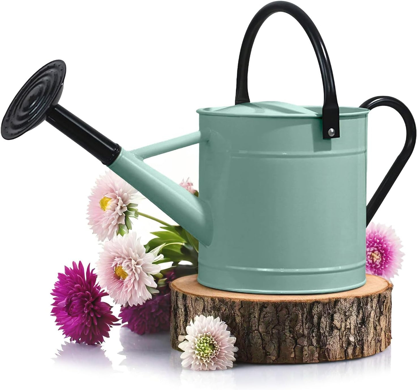 Plexon 1 Gallon Metal Watering Can Outdoor, Flower Plant Gardening Garden Large Watering Can Pot, Black Galvanized Steel Handles and Removable Spray Spout, Aqua Mist Blue