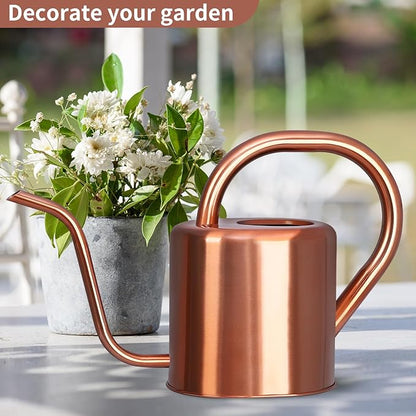 Watering Can, Stainless Steel Watering Can for Indoor & Outdoor Plants, 1L/35oz Long Spout Water Can with Handle, Rust-Proof Plant Watering Pot for House Plants, Garden Flowers