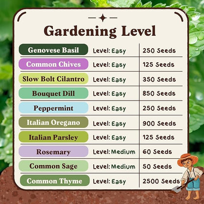 Seedboy Organic Non GMO 10 Herb Variety Pack: Basil, Cilantro Mint Oregano Parsley Thyme Chives Dill Sage Rosemary for Planting Indoor and Outdoor, 5460 USDA Certified Seeds (10 Herb Variety Pack)