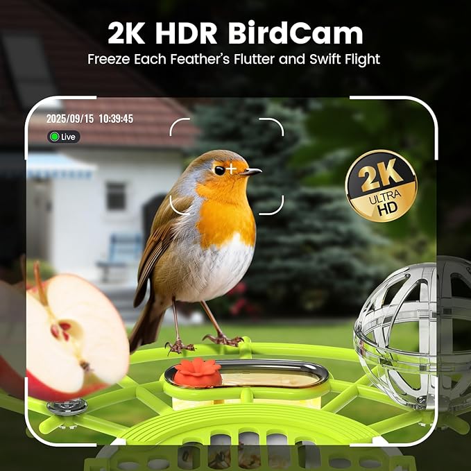 Smart Bird Feeder with Camera, AI Identify Birds Species Solar Powered, 2K HD Video Bird House with Camera, Instant Arrival Alerts, Waterproof Squirrel Proof, Gift for BirdLovers, 2.4GHz WiFi, Green