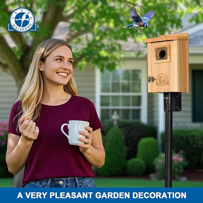 Bird Houses for Outside Clearance with Copper Guard, Cedar Bird House Outdoor, Bluebird Finch Swallow Wren Chickadee