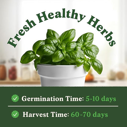 Seedboy 250 Organic Basil Seeds for Planting Indoor and Outdoor, Non-GMO and USDA Certified Herb Seed Packet for Hydroponic Garden Indoor or Planting Outdoors (Genovese Basil)