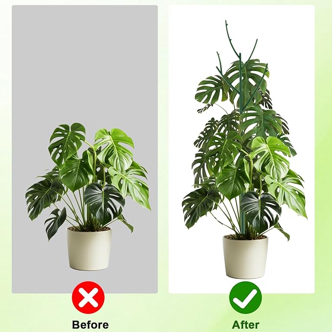6 Pack Stackable Monstera Plant Support, Plant Stakes for Indoor and Outdoor Plants Use, Garden Stakes for Climbing and Potted Plants, Pothos, Philodendron