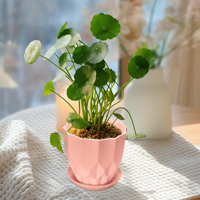 Flower Pots, 8.3/7.1/5.9/4.3 inch Nursery Plant Pot with Drainage Holes and Hole Mesh Pad and Saucers Tray for Indoor Garden Plants, Succulent, Orchid and Cactus