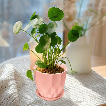 Flower Pots, 8.3/7.1/5.9/4.3 inch Nursery Plant Pot with Drainage Holes and Hole Mesh Pad and Saucers Tray for Indoor Garden Plants, Succulent, Orchid and Cactus