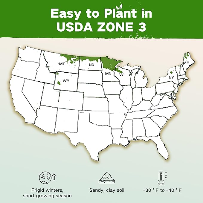 Lush&Dew Year-Round USDA Zone 3 Seed Bank, 32 Varieties Non-GMO Heirloom Seeds of Vegetables, Herbs, Gardening Gifts for Women Men, Emergency Survival Kit for Raised Garden Bed, Greenhouse