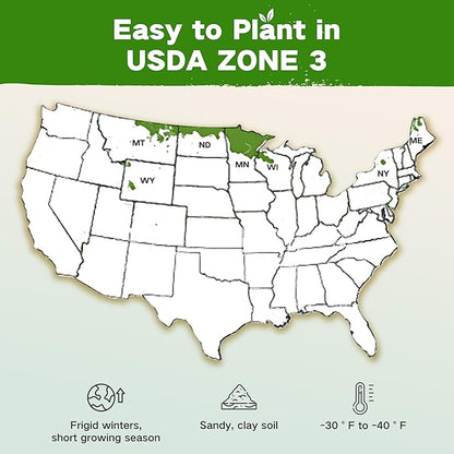 Lush&Dew Year-Round USDA Zone 3 Seed Bank, 32 Varieties Non-GMO Heirloom Seeds of Vegetables, Herbs, Gardening Gifts for Women Men, Emergency Survival Kit for Raised Garden Bed, Greenhouse