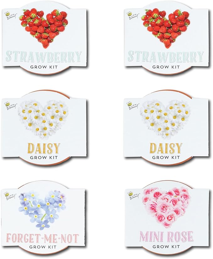 BUZZY Seeds Indoor Flower Starter Kit – Terracotta Mini Grow Pots for Kids & Adults, 6-Pack Love Collection – DIY Windowsill Gardening Kit, Wedding Favors, Party Favors, Bridal Shower Gifts