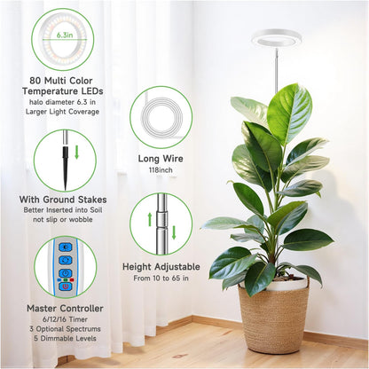 Grow Lights for Indoor Plants, 6000K Full Spectrum Plant Grow Lights, Height Adjustable 10"-65" Growing Lamp, Automatic Timer 6/12/16Hrs, 5-Level Dimmable, Idea for Large Plant, 2 Pack