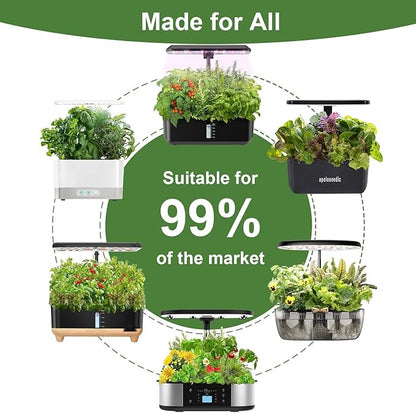 Gourmet Herbs Seed Pod Kit for AeroGarden, iDoo, Ahopegarden, MUFGA Hydroponics Garden with Basil, Parsley, Thyme, Mint, Cilantro, Dill, Oregano - Compatible with All Hydroponics (12-Pod)