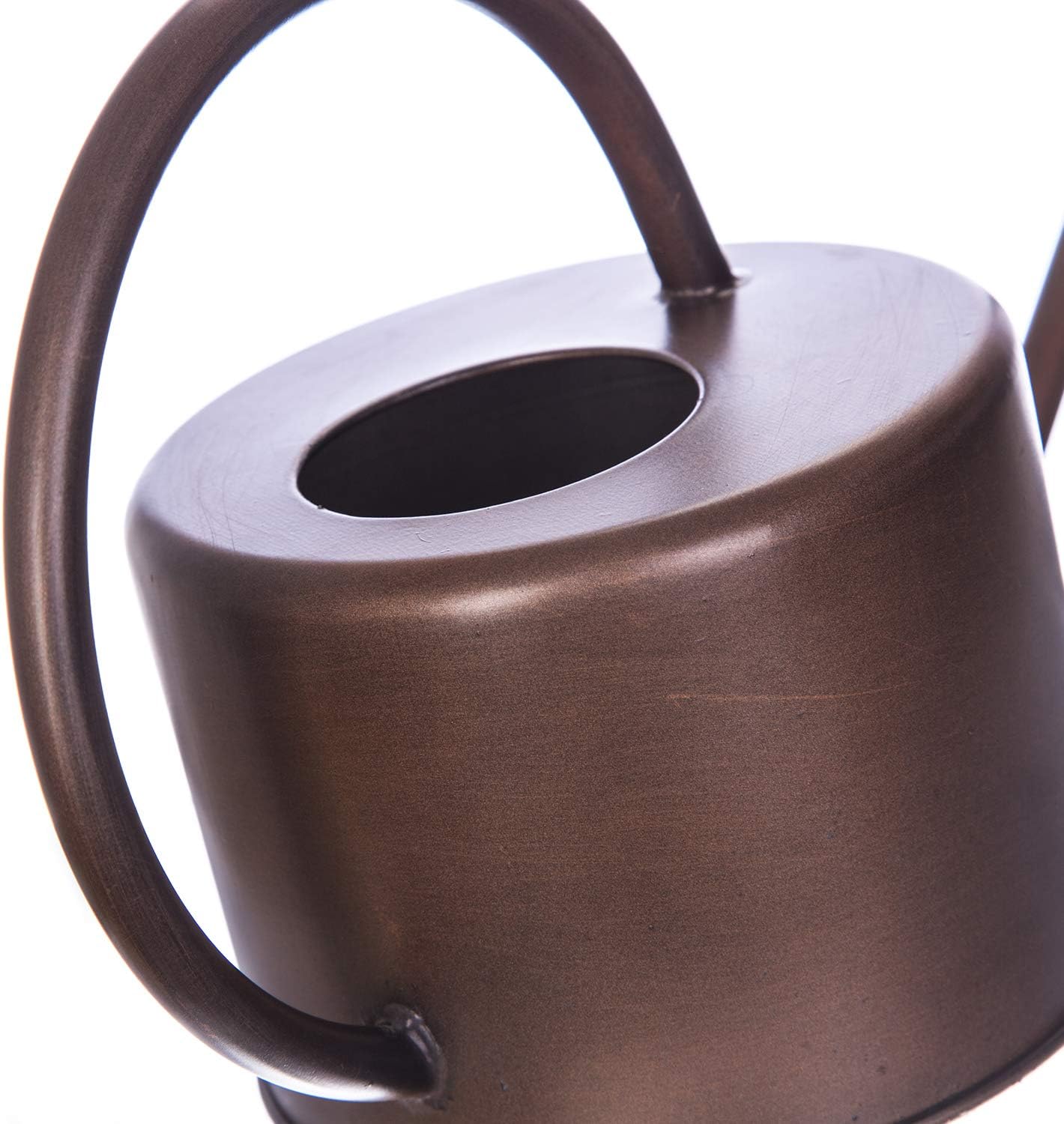 Metal Watering Can 1.3L Modern Style Watering Pot with Handle and Long Spout,Brown Color