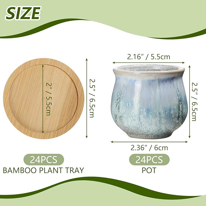 Remerry 24 Pcs Small Succulent Pots Bulk with Drainage Assorted 2.5 Inch Mini Ceramic Succulent Planters Pot with Coaster Bamboo Plant Tray Planting Pots for Home Office Garden (Rich Color)